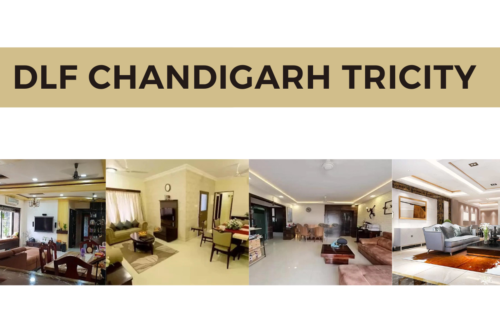 DLF Chandigarh Tricity: Best Destination for Living 4 DLF Chandigarh Tricity