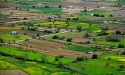 Complete Guide to Bricks and Milestones Sarjapur Pricing 4 Bricks and Milestones sarjapur