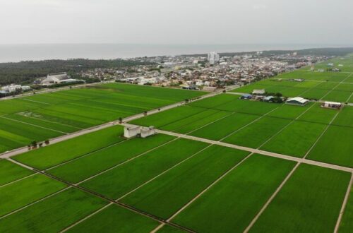 Total Environment Rajanukunte