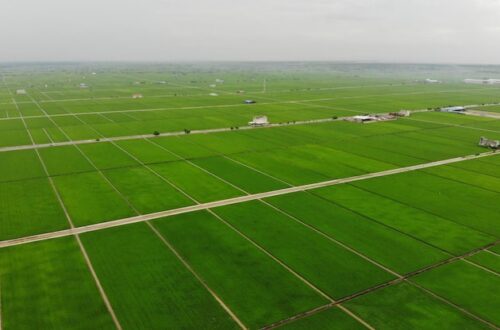 Shivalik Farmland – Residential Plots for Smart Living in Ahmedabad 5 Shivalik Farmland