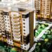 Shapoorji Pallonji Codename Zest