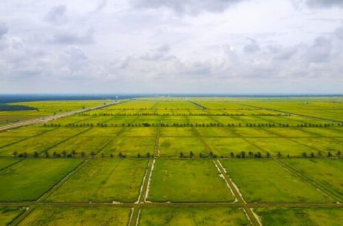 Mahindra Green Estates