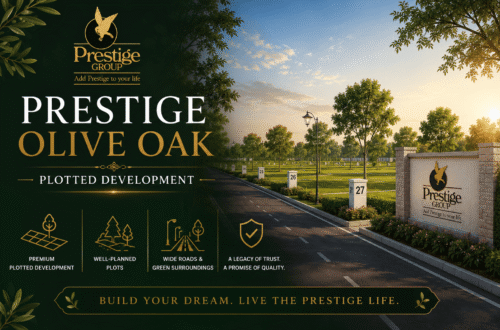 Prestige Olive Oak